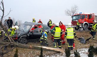 Vorschaubild: Feuerwehr befreit Lenkerin