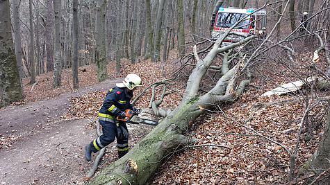 Bild 019 zum Bericht 1055