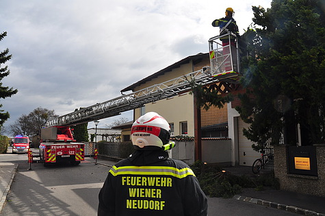Foto: Freiwillige Feuerwehr Wiener Neudorf