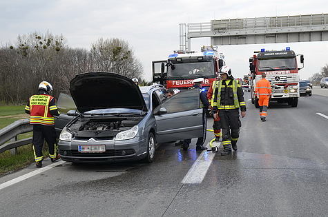 Bild 004 zum Bericht 1059