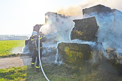 Bild 003 zum Bericht 1062