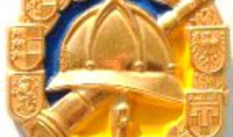Vorschaubild: Feuerwehrleistungsabzeichen in GOLD