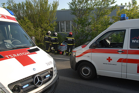 Bild 003 zum Bericht 1121