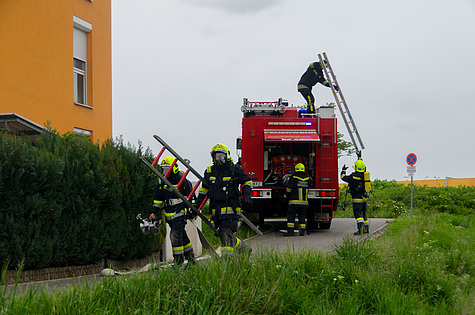 Bild 002 zum Bericht 1128
