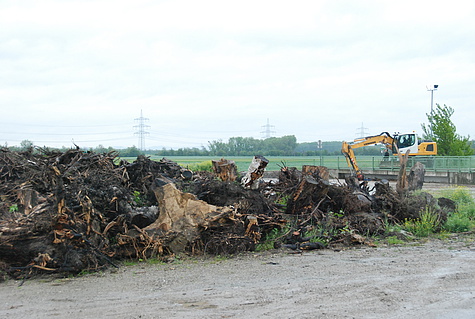 Bild 018 zum Bericht 1131