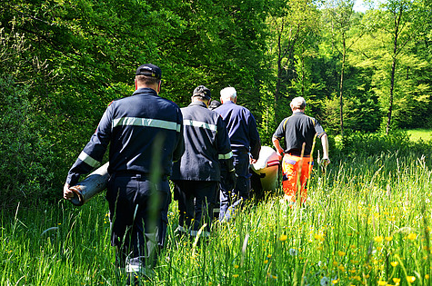 Bild 011 zum Bericht 1135