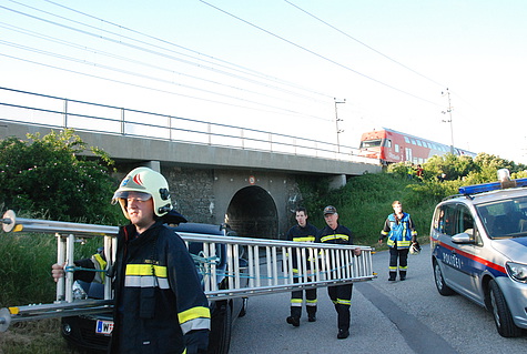 Bild 003 zum Bericht 1136