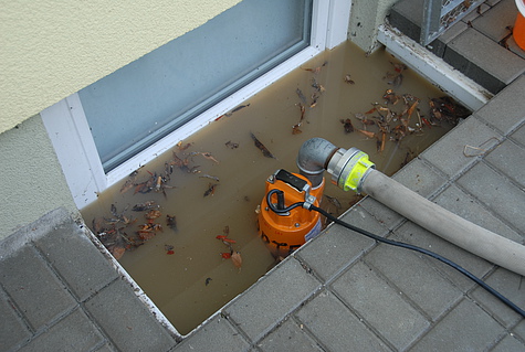 Bild 013 zum Bericht 1142