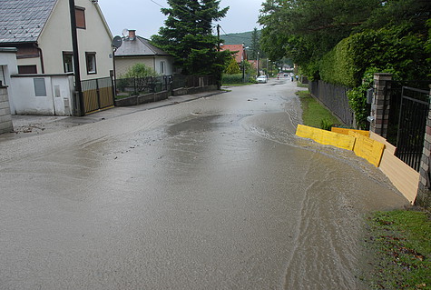 Bild 007 zum Bericht 1142