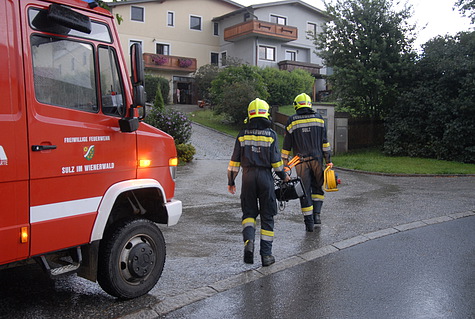Bild 010 zum Bericht 1165