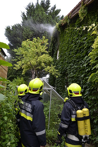 Bild 001 zum Bericht 1168