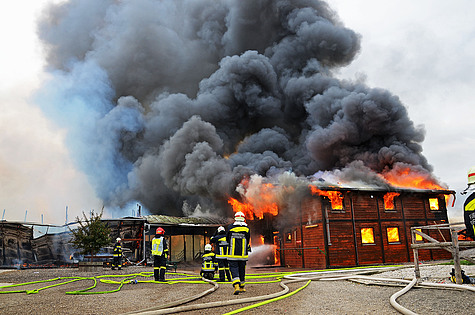 Bild 011 zum Bericht 1172