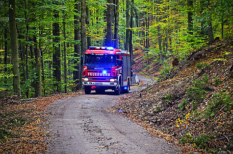 Bild 001 zum Bericht 1191