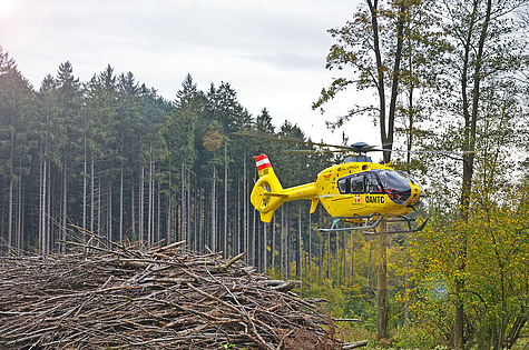 Bild 005 zum Bericht 1191