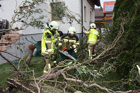 Bild 014 zum Bericht 1194