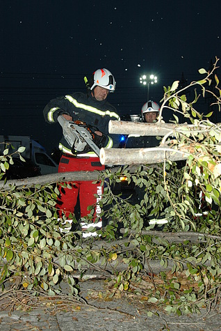 Bild 003 zum Bericht 1194