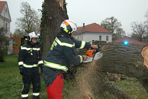 Bild 005 zum Bericht 1194