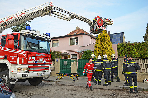 Bild 005 zum Bericht 1197