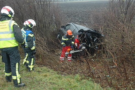 Bild 004 zum Bericht 1198