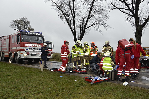 Bild 012 zum Bericht 1200