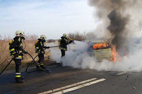 Foto: Mario Hütter / FF Laxenburg
