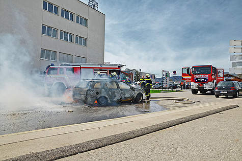 Bild 003 zum Bericht 1234