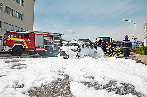 Bild 009 zum Bericht 1234