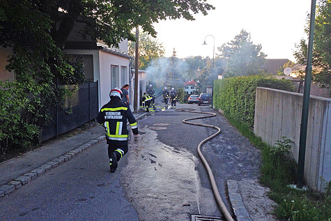 Bild 002 zum Bericht 1243