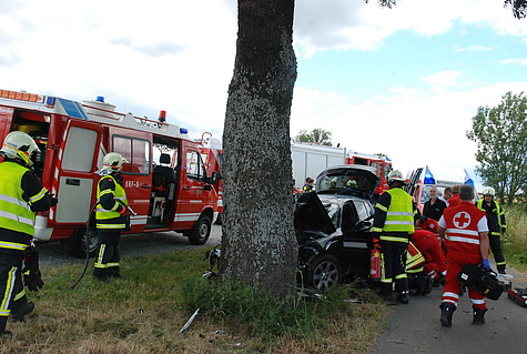 Bild 002 zum Bericht 1256