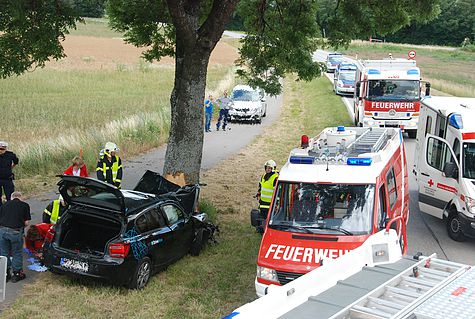 Bild 006 zum Bericht 1256