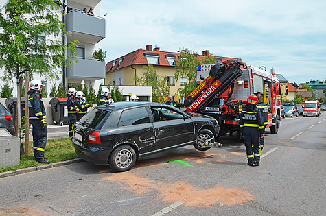 Bild 007 zum Bericht 1258