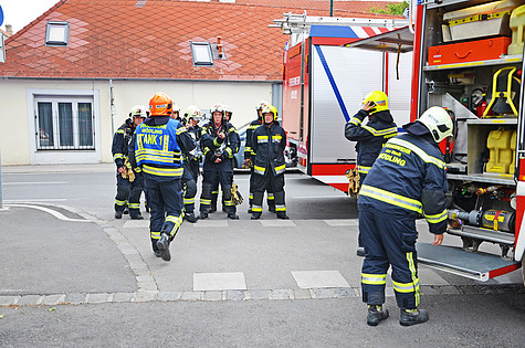 Bild 002 zum Bericht 1260