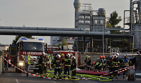 Bild 005 zum Bericht 1263