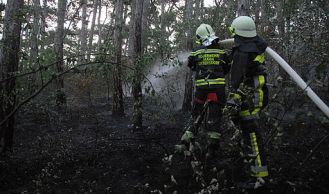Vorschaubild: Waldbrand nahe der Burg Liechtenstein in Maria Enzersdorf