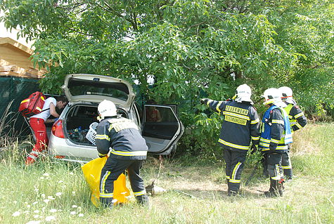 Bild 002 zum Bericht 1269