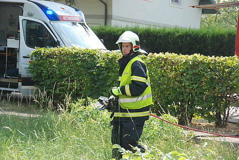 Bild 003 zum Bericht 1269