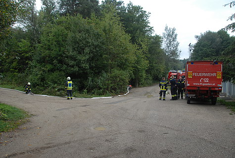 Bild 023 zum Bericht 1281