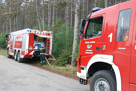 Bild 006 zum Bericht 1281