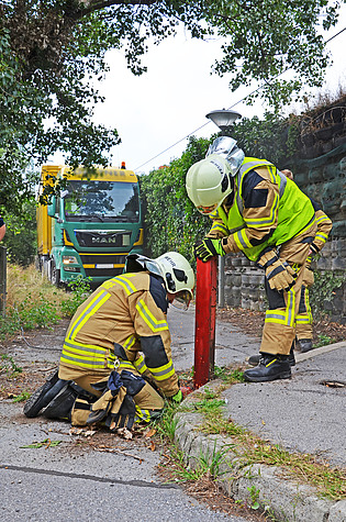 Bild 002 zum Bericht 1284