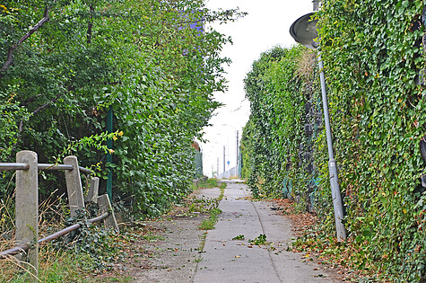 Bild 009 zum Bericht 1284