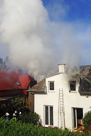 Bild 003 zum Bericht 1296