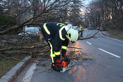 Bild 004 zum Bericht 1325