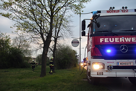 Bild 003 zum Bericht 1375