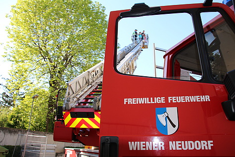 Bild 001 zum Bericht 1386