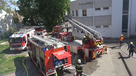 Bild 007 zum Bericht 1391