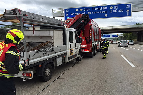 Bild 003 zum Bericht 1397