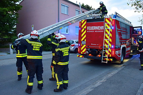 Bild 003 zum Bericht 1406