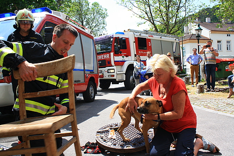 Bild 006 zum Bericht 1411