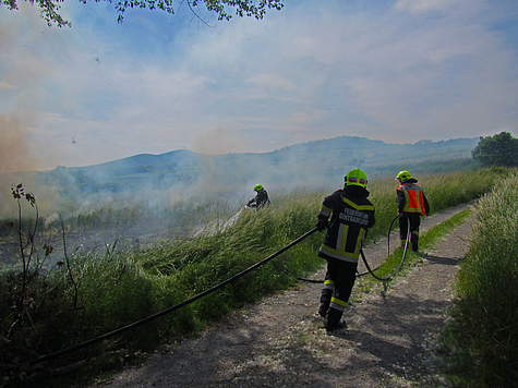 Bild 001 zum Bericht 1413