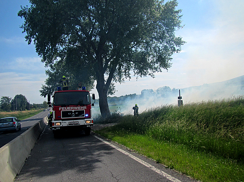 Bild 004 zum Bericht 1413